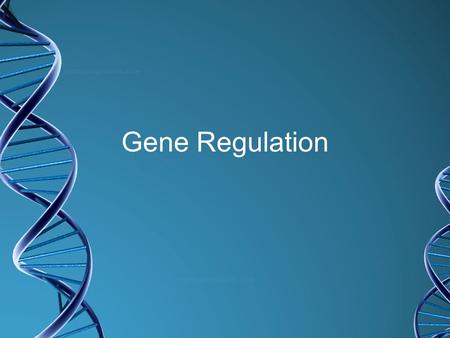 Gene Regulation. Levels of Regulation DNA rearrangement –Immune System rearranges DNA Bacteria can change DNA in chromosomes Not as common as other methods.