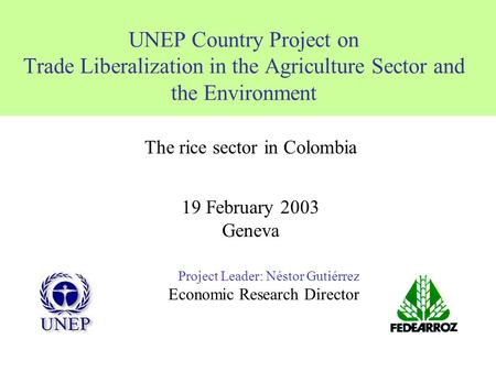 UNEP Country Project on Trade Liberalization in the Agriculture Sector and the Environment Project Leader: Néstor Gutiérrez Economic Research Director.