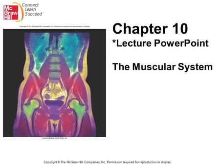 Chapter 10 *Lecture PowerPoint The Muscular System