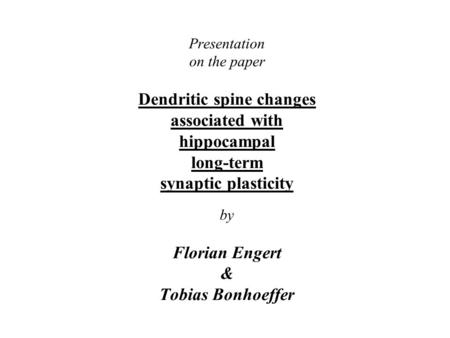 Presentation on the paper Dendritic spine changes associated with hippocampal long-term synaptic plasticity by Florian Engert & Tobias Bonhoeffer.