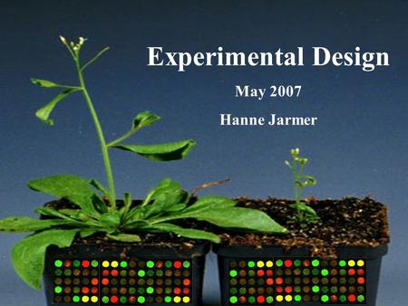 Experimental Design May 2007 Hanne Jarmer. What is Experimental Design? Question Answer Data Analysis Experiments Often not the final answer!