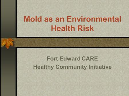 Mold as an Environmental Health Risk Fort Edward CARE Healthy Community Initiative.