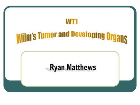 Wilms’ Tumor Nephroblastoma Affects 1:10,000 children ~8% of all pediatric Malignancies 80% of these tumors can be successfully treated.