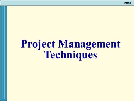 Project Management Techniques.