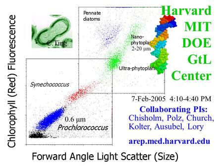 Harvard MIT DOE GtL Center Collaborating PIs: Chisholm, Polz, Church, Kolter, Ausubel, Lory arep.med.harvard.edu C.Ting 7-Feb-2005 4:10-4:40 PM 2-20 μm.