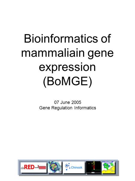 Bioinformatics of mammaliain gene expression (BoMGE) 07 June 2005 Gene Regulation Informatics.