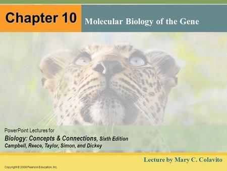 Molecular Biology of the Gene