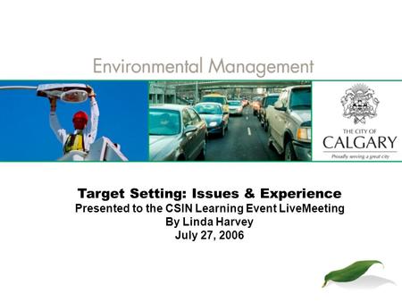 Target Setting: Issues & Experience Presented to the CSIN Learning Event LiveMeeting By Linda Harvey July 27, 2006.