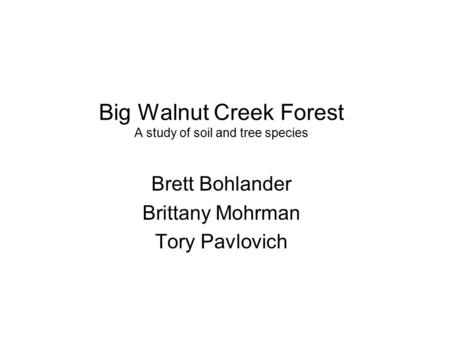 Big Walnut Creek Forest A study of soil and tree species Brett Bohlander Brittany Mohrman Tory Pavlovich.