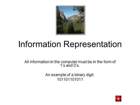 Information Representation