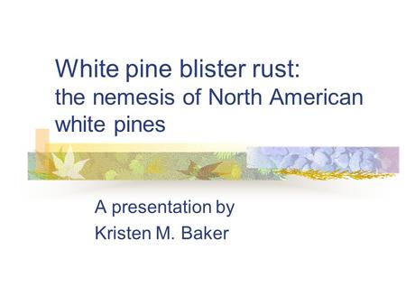 White pine blister rust: the nemesis of North American white pines A presentation by Kristen M. Baker.