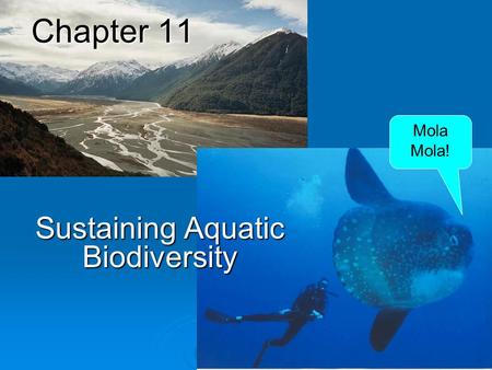 Sustaining Aquatic Biodiversity