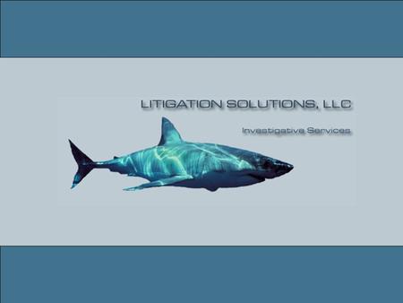 Executive Overview Executive Overview  Incorporated in June 1999  Two Core Product Areas Investigative Services Litigation Support / Records Acquisition.