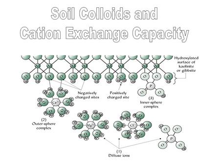 Cation Exchange Capacity