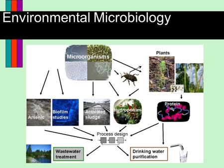 Environmental Microbiology