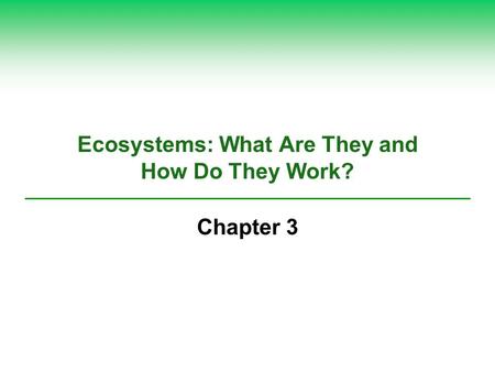 Ecosystems: What Are They and How Do They Work?