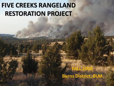 FIVE CREEKS RANGELAND RESTORATION PROJECT FALL 2008 Burns District, BLM.