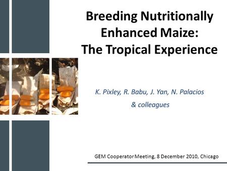 Breeding Nutritionally Enhanced Maize: The Tropical Experience K. Pixley, R. Babu, J. Yan, N. Palacios & colleagues GEM Cooperator Meeting, 8 December.