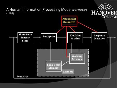 Long-Term Memory Working Memory A Human Information Processing Model after Wickens (1984) Short-Term Sensory Store PerceptionDecision Making Response Execution.