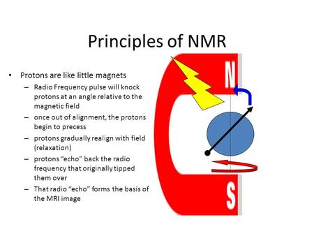 Principles of NMR Protons are like little magnets