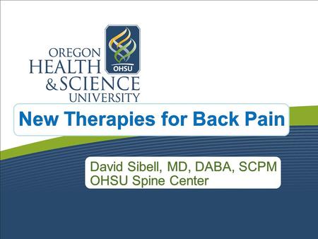 What is Pain? Conceptualizing Chronic Pain Tissue Disruption Functional Disruption Environment and Treatment Expression of Pain.