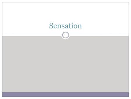 Sensation Overview How is perception different from sensation? What is psychophysics? What do sense organs do? How does vision work? How does this compare.