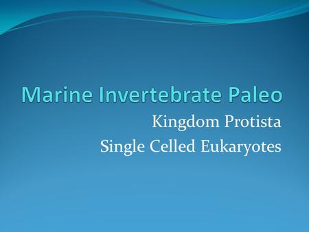 Marine Invertebrate Paleo