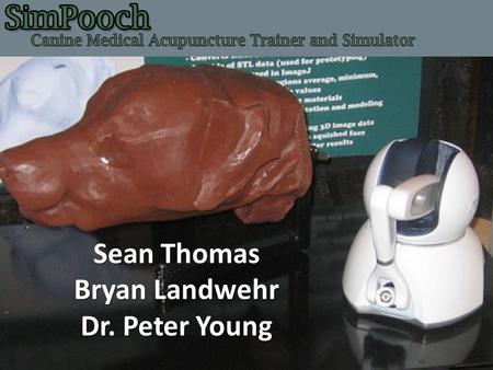 Sean Thomas Bryan Landwehr Dr. Peter Young. Canine Acupuncture Background Holistic Approach: Traditional Chinese Medicine Concepts Qi = Life Force Meridians.