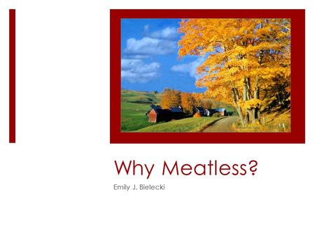 Why Meatless? Emily J. Bielecki. Did You Know?  The meat industry is responsible for nearly 1/5 of the man-made greenhouse gasses (“Urged…” 2010)