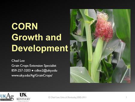 Corn Growth and Development