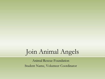 Join Animal Angels Animal Rescue Foundation Student Name, Volunteer Coordinator.