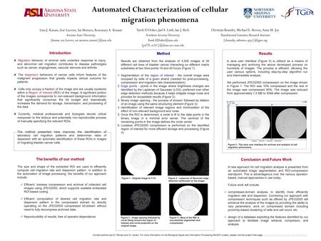 Automated Characterization of cellular migration phenomena Christian Beaudry, Michael E. Berens, Anna M. Joy Translational Genomics Research Institute.