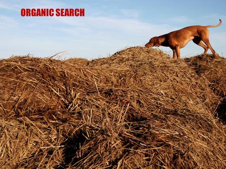 ORGANIC SEARCH. CRAWL INDEX RANK CRAWLING Known Web pages Index Servers Crawler Machines Crawler Machines Googlebot Doc Servers.