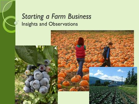 Starting a Farm Business Insights and Observations.