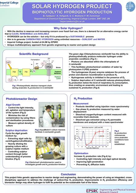 SOLAR HYDROGEN PROJECT BIOPHOTOLYTIC HYDROGEN PRODUCTION B. Tamburic*, K. Hellgardt, G. C. Maitland, F. W. Zemichael Department of Chemical Engineering,