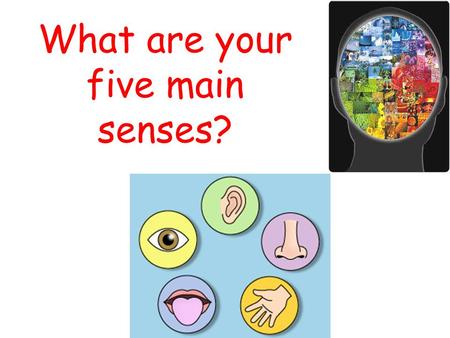 What are your five main senses?. But can you think of anything else we can sense? Time? Movement? Body position? Danger/Fear? Hunger/Thirst? Temperature?