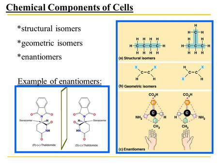 Chemical Components of Cells