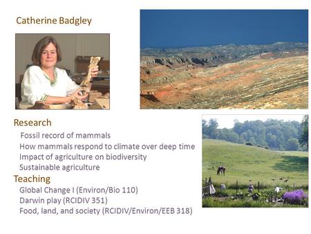 Research Fossil record of mammals How mammals respond to climate over deep time Impact of agriculture on biodiversity Sustainable agriculture Teaching.