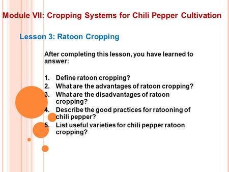 Module VII: Cropping Systems for Chili Pepper Cultivation