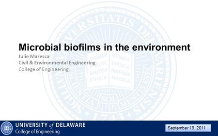 Microbial biofilms in the environment Julie Maresca Civil & Environmental Engineering College of Engineering September 19, 2011.