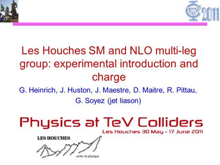 Les Houches SM and NLO multi-leg group: experimental introduction and charge G. Heinrich, J. Huston, J. Maestre, D. Maitre, R. Pittau, G. Soyez (jet liason)