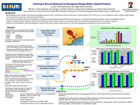 Training a Neural Network to Recognize Phage Major Capsid Proteins Author: Michael Arnoult, San Diego State University Mentors: Victor Seguritan, Anca.