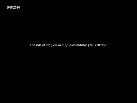 9/8/2010 The role of runt, en, and slp in establishing MP cell fate.