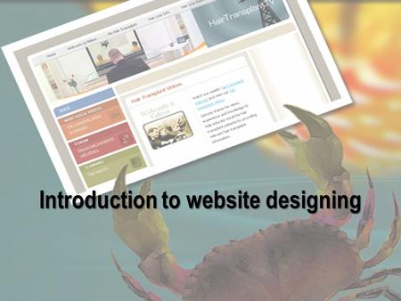 Introduction to website designing. A good website must make the best use of the infrastructure on the web, to design such a site, you need to have an.