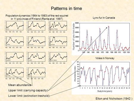 Patterns in time Population dynamics (1964 to 1983) of the red squirrel in 11 provinces of Finland (Ranta et al. 1997) Lynx fur in Canada Voles in Norway.