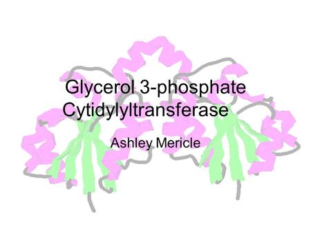 Glycerol 3-phosphate Cytidylyltransferase Ashley Mericle.