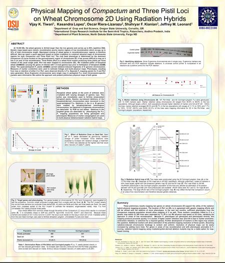 References Cox, D.R., Burmeister, M., Price, E.R., Kim, S., and R.M. Myers. 1990. Radiation hybrid mapping: a somatic cell genetic method for constructing.