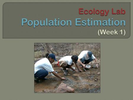  PURPOSE: To compare the three different population estimation methods To compare the three different population estimation methods  Enumeration  Mark/Recapture.