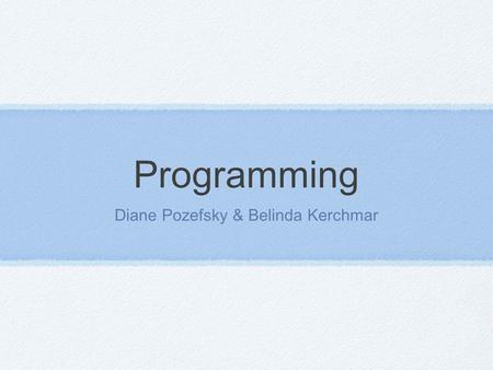 Programming Diane Pozefsky & Belinda Kerchmar. Where have we been? Websites HTML Code CSS Code PHP includes Spreadsheets Booleans If Statements Logical.