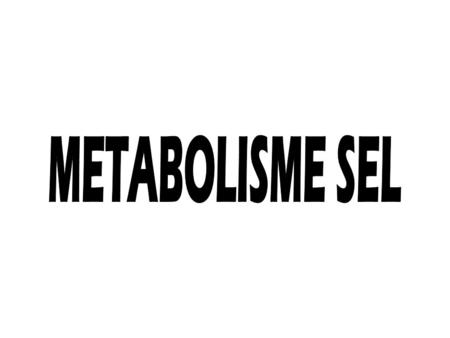 METABOLISME SEL.